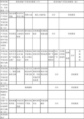 梅州市房地产开发企业经营行为专项检查工作汇总表